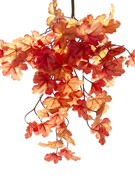 Picture of 26" HEUCHERA HANGING BUSH