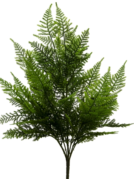 Picture of 25" FLOCKED FERN BUSH
