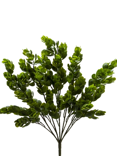 Picture of 22" EUCALYPTUS BUSH