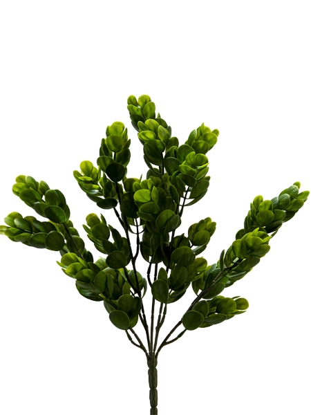 Picture of 16" EUCALYPTUS BUSH