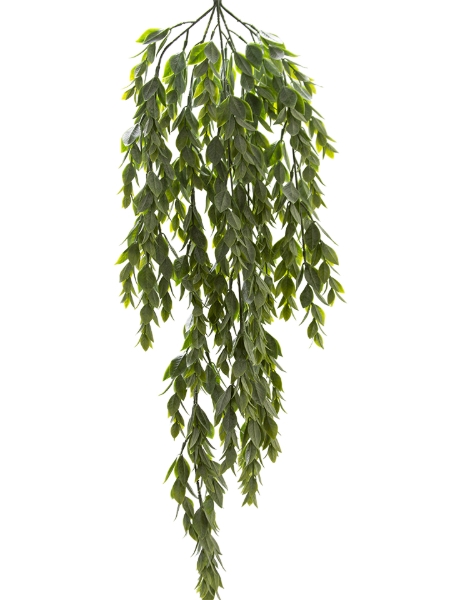 Picture of 31" FROSTED LAUREL HANGING VINE