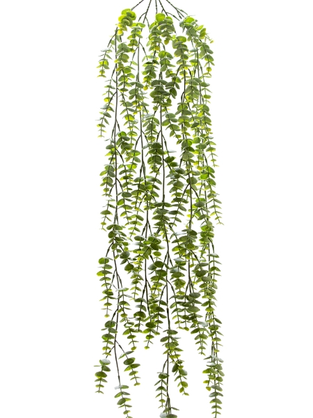 Picture of 40" FROESTED EUCALYPTUS HANGING VINE