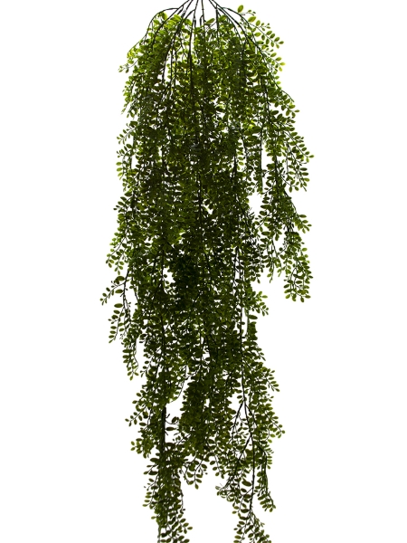 Picture of 42" BUTTON LEAF HANGING VINE