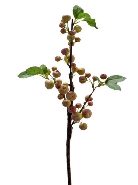 Picture of 22" MINI APPLE SPRAY