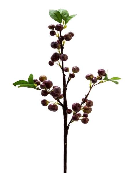 Picture of 22" MINI APPLE SPRAY