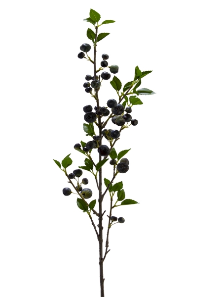 Picture of 35" APPLE SPRAY
