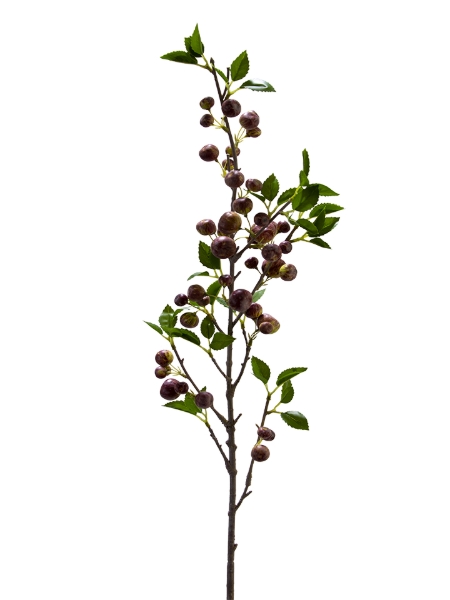 Picture of 35" APPLE SPRAY