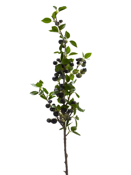 Picture of 43" APPLE SPRAY