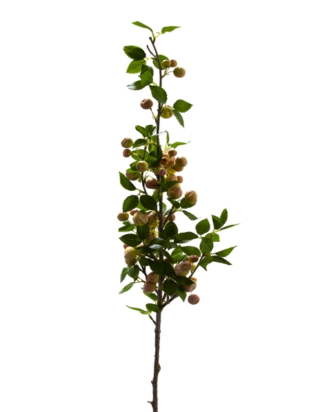 Picture of 43" APPLE SPRAY