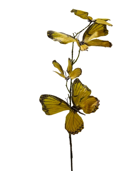 Picture of 31" BUTTERFLY  SPRAY